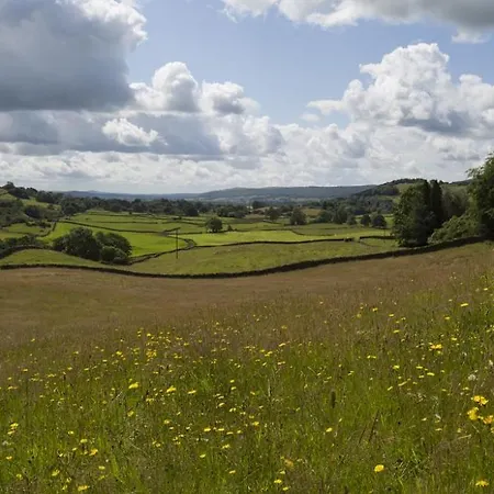 Brackenrigg Crook (Cumbria)